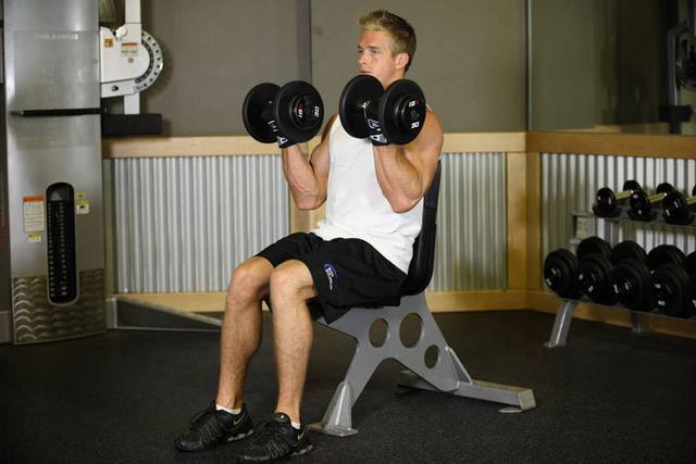 Flexion assise avec haltères: Fin